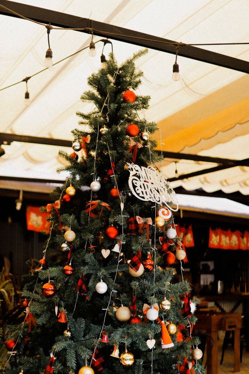 Free Decorated Christmas tree with ornaments and string lights indoors. Perfect for holiday season imagery. Stock Photo