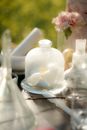 Flower Petals in Bottle 