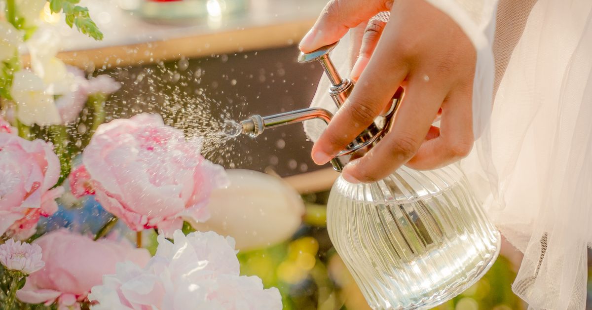 Cuidados na floração Mão de mulher borrifando flores em um jardim ao ar livre