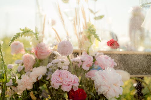 Imagine de stoc gratuită din a închide, buchet de flori, câmp