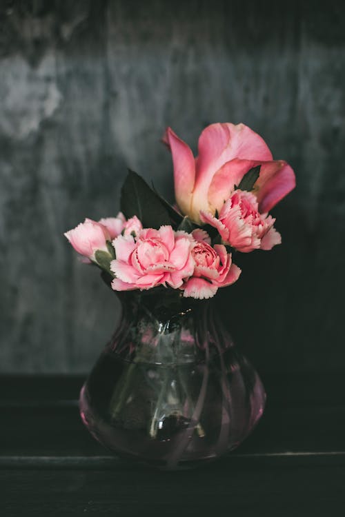 粉色康乃馨花和粉色玫瑰花的核心