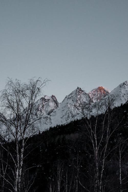 Fotos de stock gratuitas de arboles, cordillera, cubierto de nieve