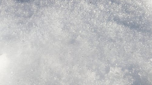 Бесплатное стоковое фото с белый, зима, лед
