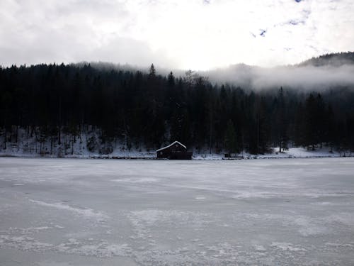 бесплатная Бесплатное стоковое фото с деревья, замерзшее озеро, зима Стоковое фото