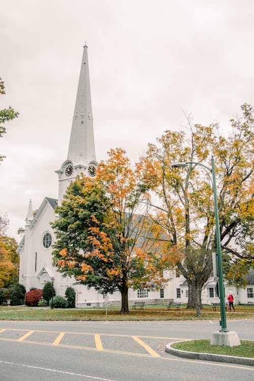 Free stock photo of church, fall, leaves