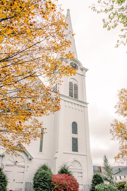 가을, 교회, 나뭇잎의 무료 스톡 사진