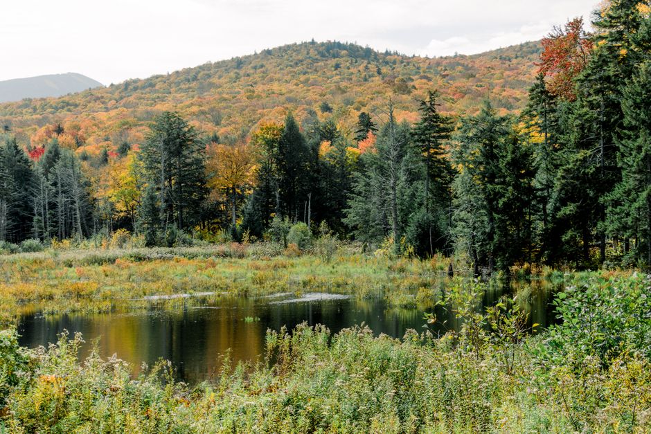 Route 100 Vermont with fall colors