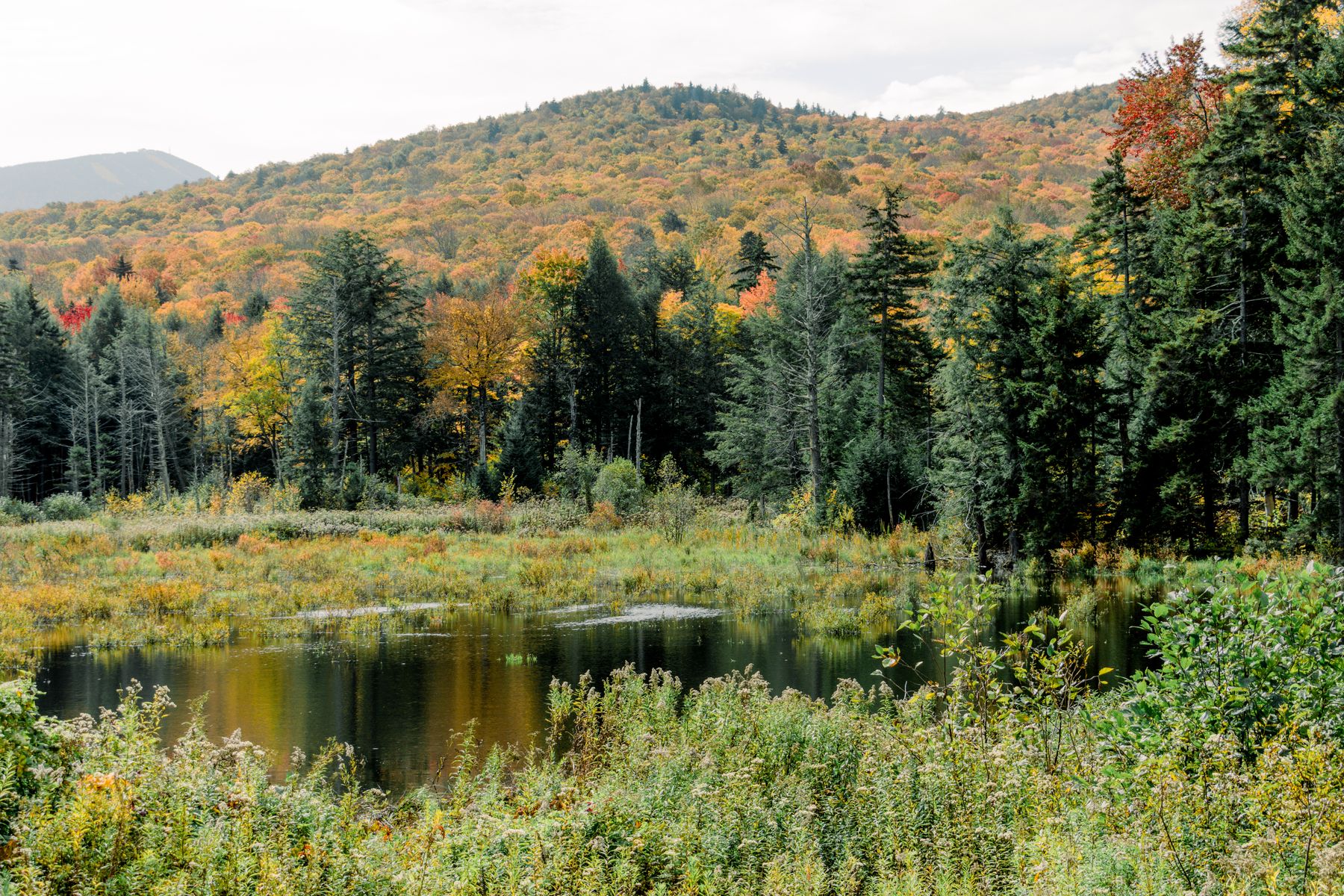 Montpelier, Vermont — the gold-domed State House and downtown, the smallest US state capital