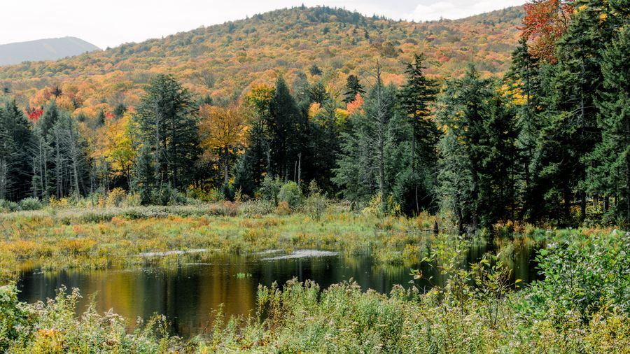 Holiday Mountain, NY: A Catskills Hill Built for Learning