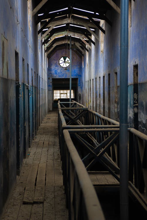 Wooden Flooring inside an Abandoned Building