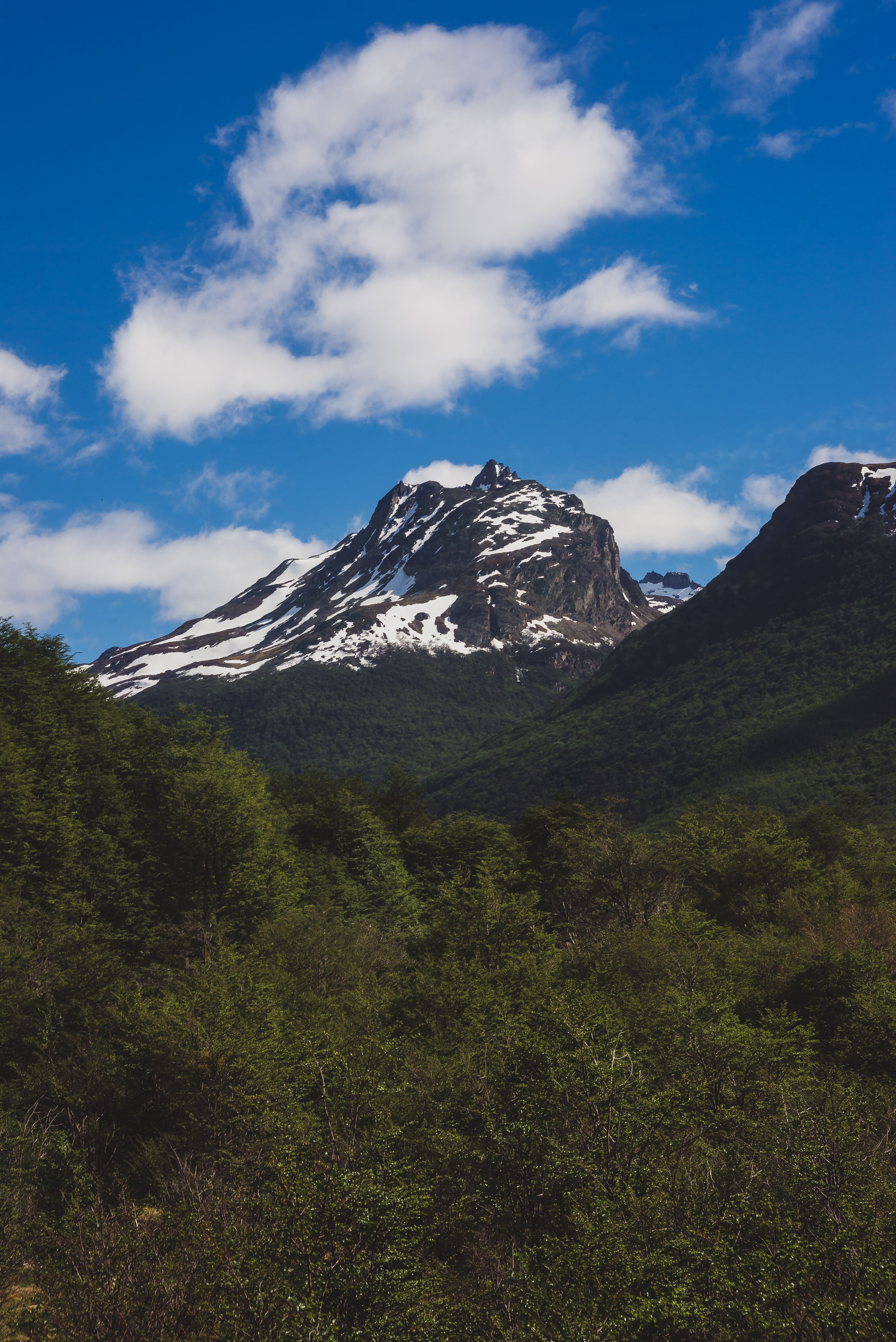 Green Trees Near Snow Covered Mountain Under Blue Sky · Free Stock Photo