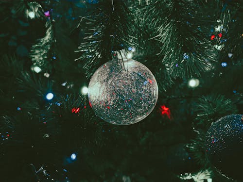Free Silver Bauble on Green Christmas Tree Stock Photo