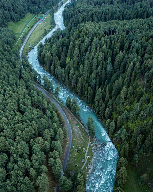 Aerial Photography of River in Between Green Trees 