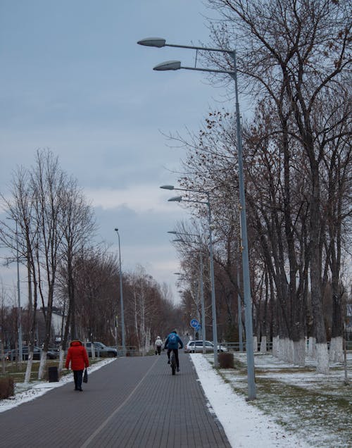 Pedestrians and Cyclist on Pavement in Park