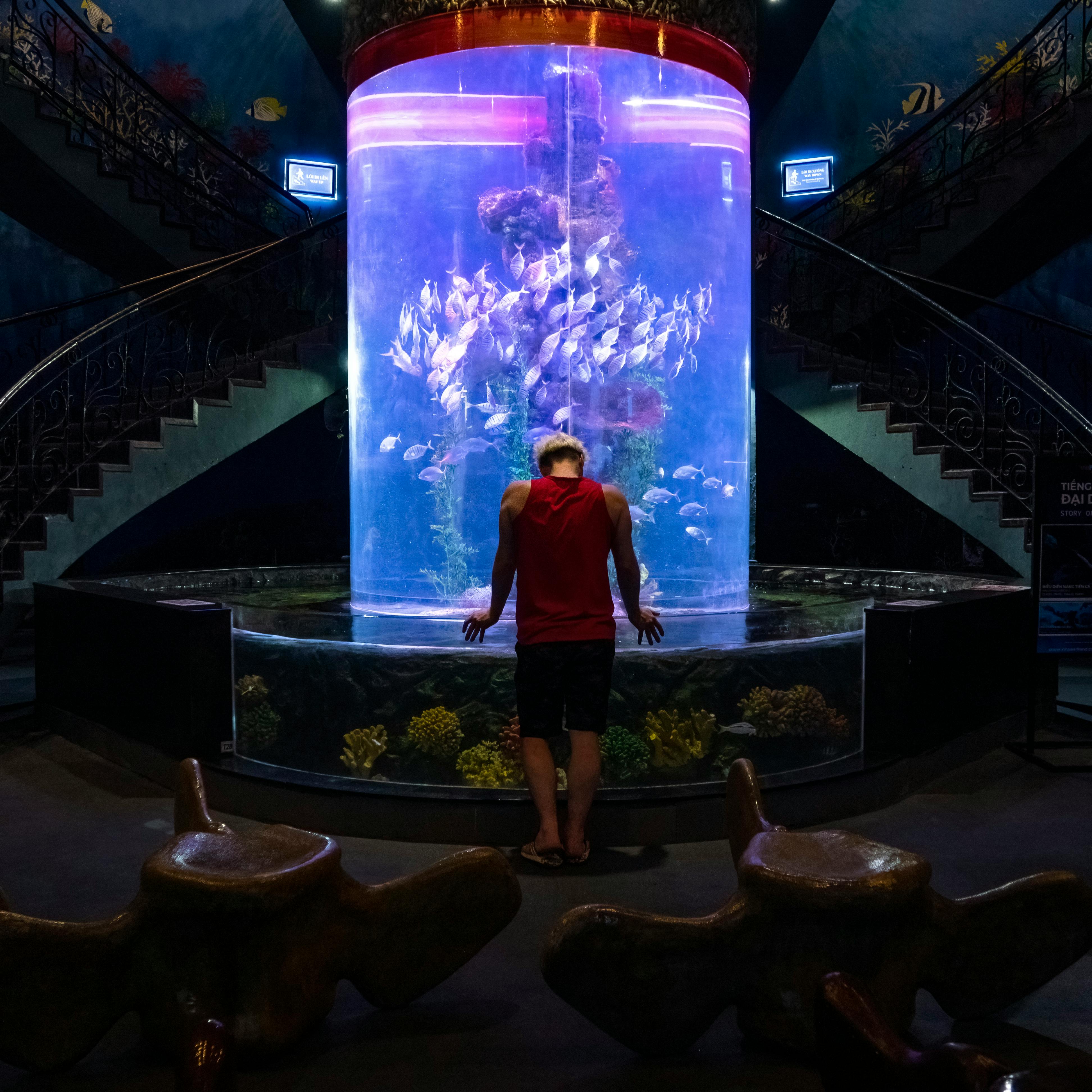 Man Looking at Aquarium