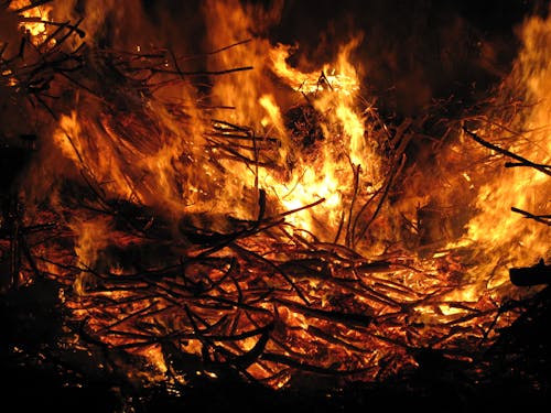 Free Burning Wood on Fire Stock Photo