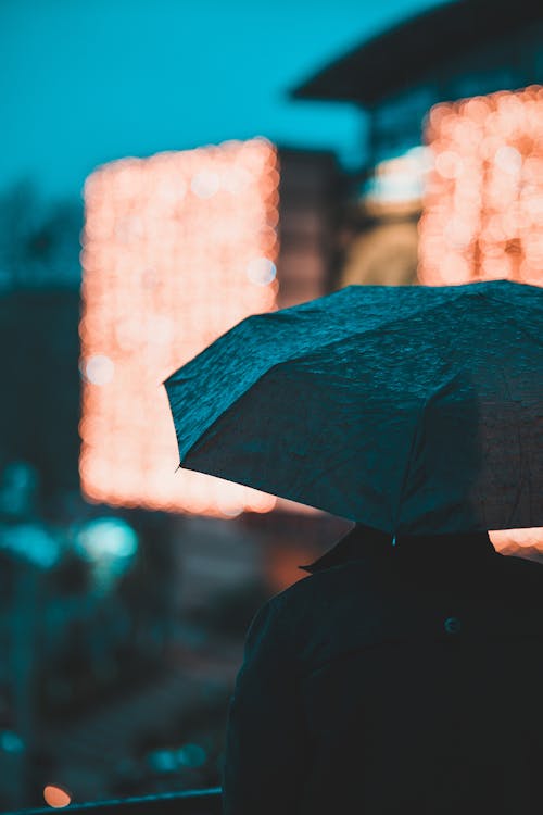 Photograph of a Person Using a Black Umbrella