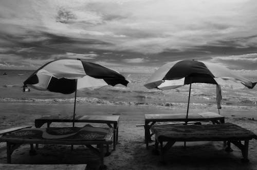 無料 海岸の2つのピクニックテーブルのグレースケール写真 写真素材