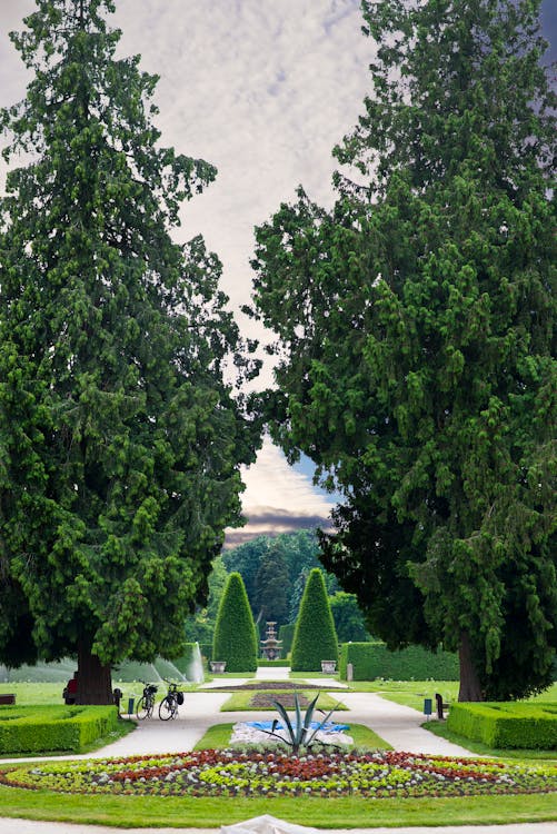 Symmetrical View of a Park with Topiary