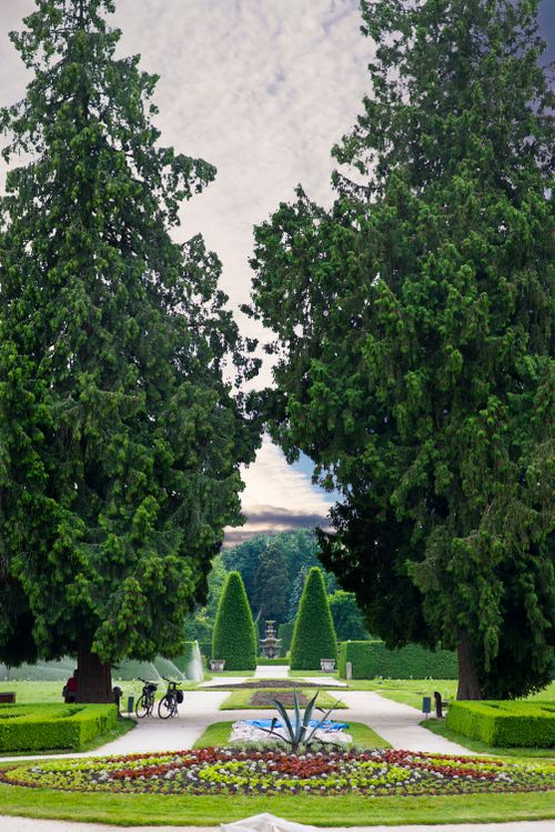 Free Explore a beautifully symmetrical park pathway surrounded by lush greenery and towering trees in Lednice, Czech Republic. Stock Photo