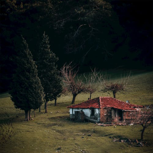 An Abandoned House on Green Grass Field Near Trees