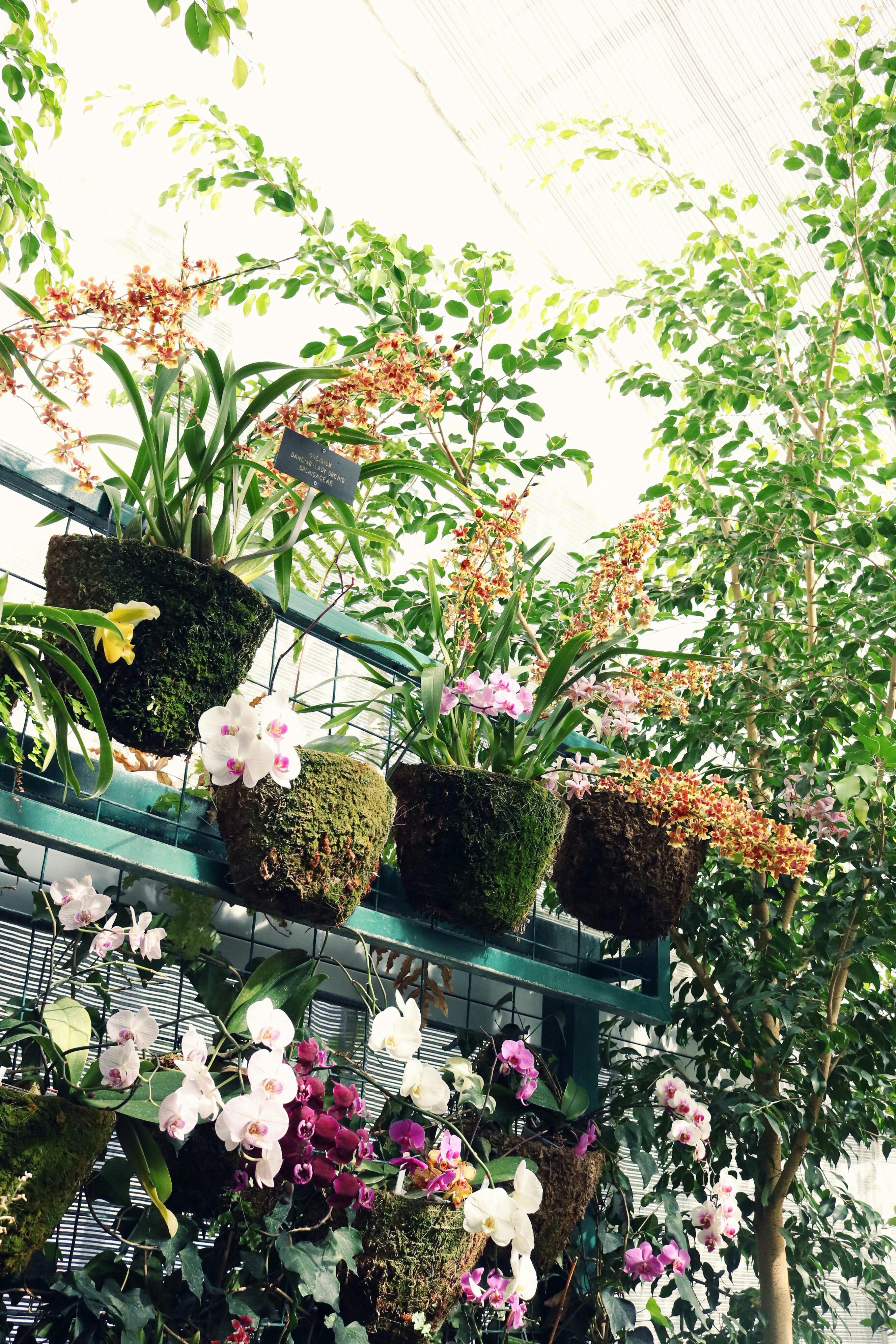100 000  Best Flower Garden Images Wallpapers · 100% Free Download