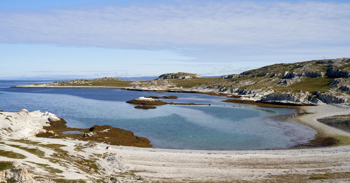 malvinas
