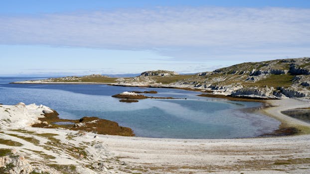 Breathtaking seaside view with rugged terrain in Troms og Finnmark, Norway, showcasing serene coastlines and clear waters.