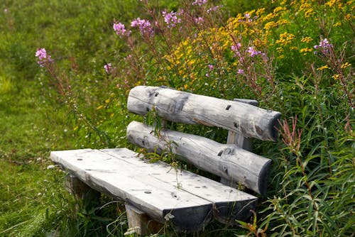  Wooden Bench on Grass Field Near Flowers