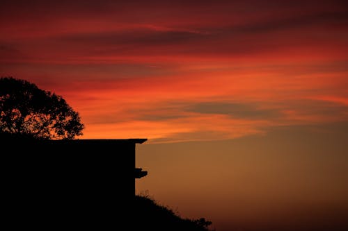 Бесплатное стоковое фото с багровое небо, дерево, живописный