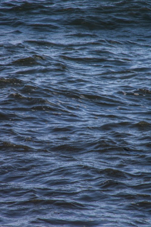 Surface of Wavy Sea