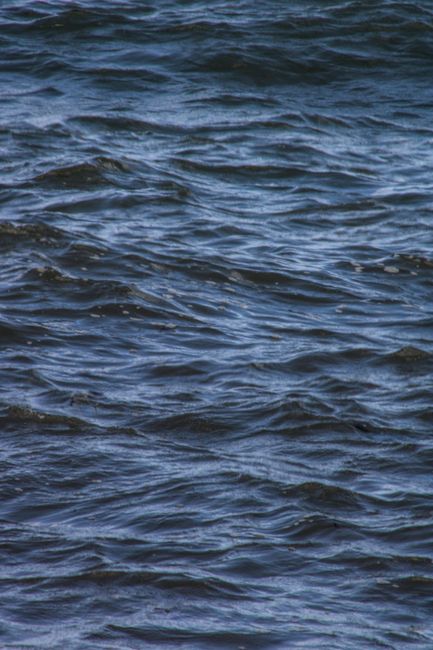 Fotomural Las olas tranquilas del océano crean una superficie texturizada cerca de Itacaré, Brasil, ofreciendo una escena marina tranquila.