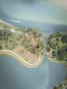 Aerial View of Green Trees and River