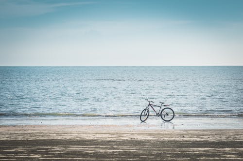 grátis Foto profissional grátis de bicicleta, costa, litoral Foto profissional