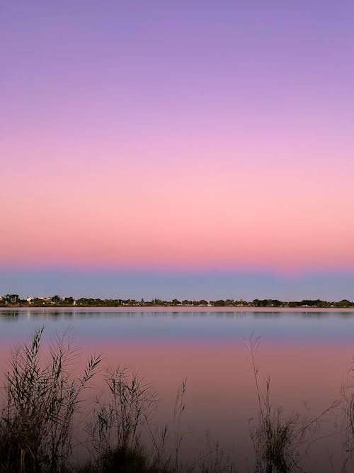 Calm Lake Under the Pink Sky