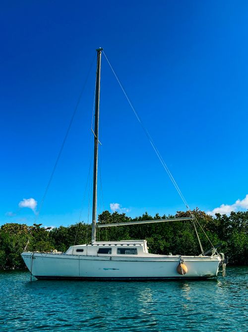 Free Luxurious sailboat floating in Miami waters under a bright blue sky, surrounded by mangroves. Stock Photo