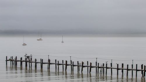 Free Serene view of a wooden dock extending into fog-covered ocean. Perfect for calm, reflective themes. Stock Photo