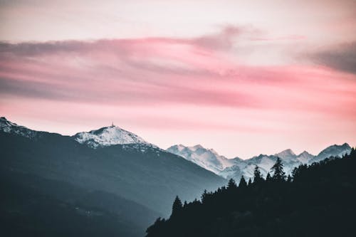 Desktop Wallpaper Pexels Free Stock Photos