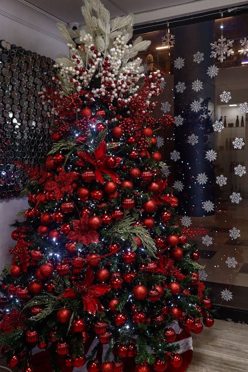 Free stock photo of christmas, christmas tree