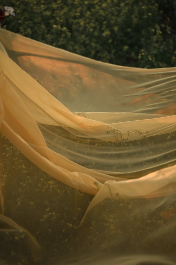 Yellow Tulle Fabric Covering Flower Field