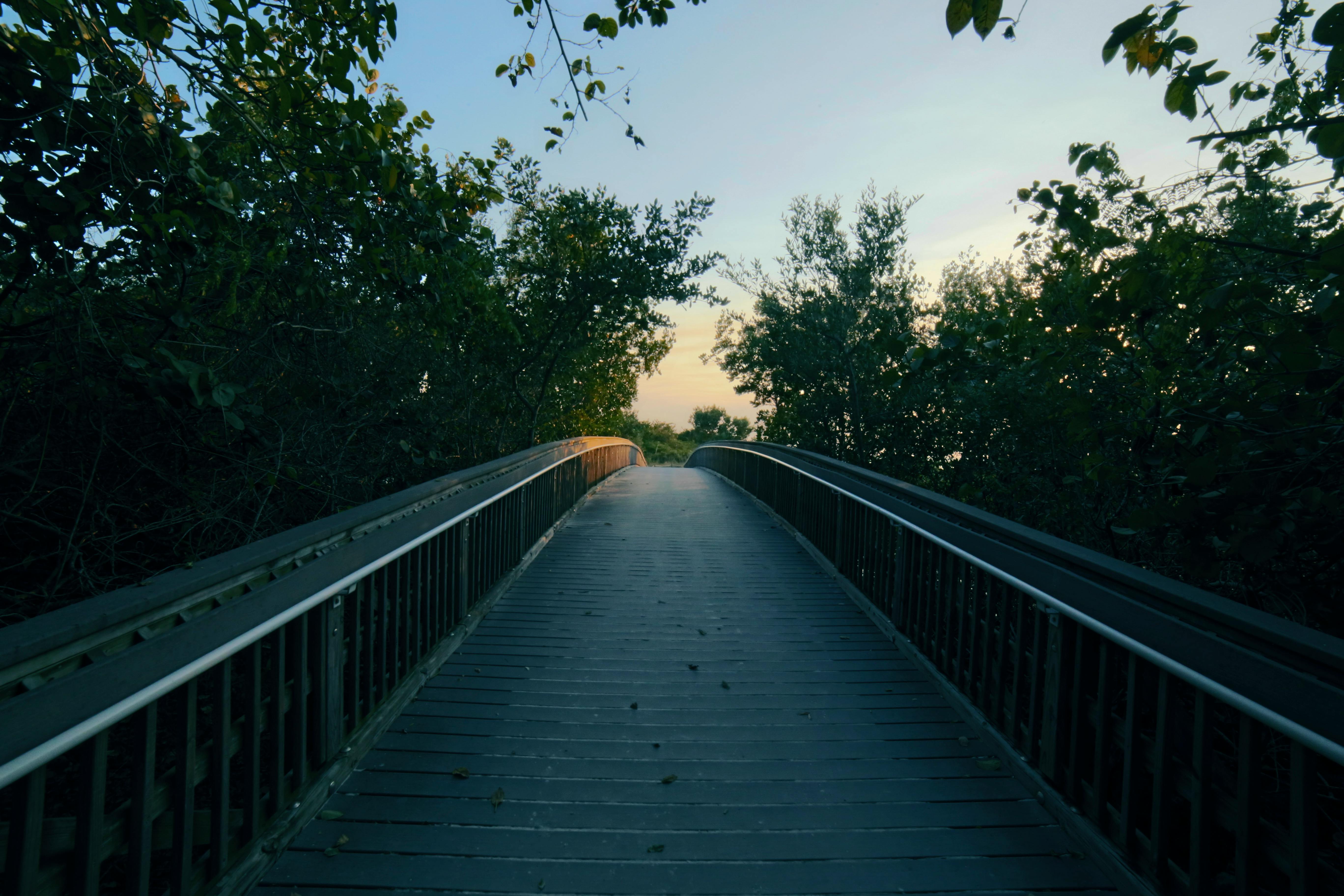 How long can you survive in the woods?