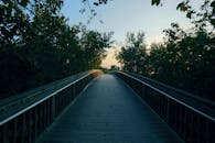 木桥穿过郁郁葱葱的森林，日落时分的色彩在天空中渐渐褪去