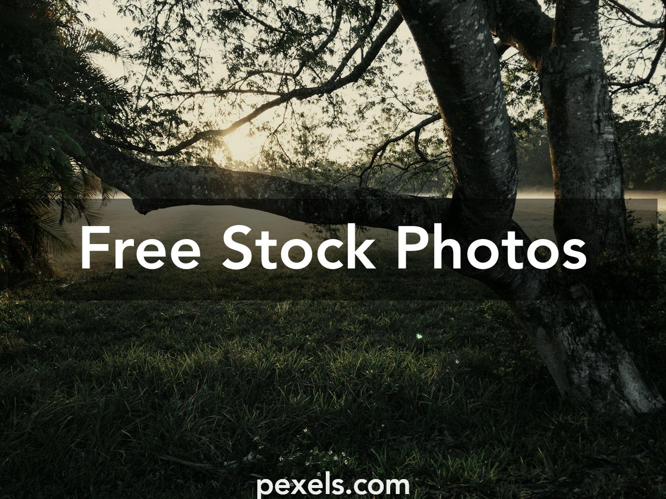 135 Park Meadows Mall Colorado Stock Photos - Free & Royalty-Free Stock  Photos from Dreamstime