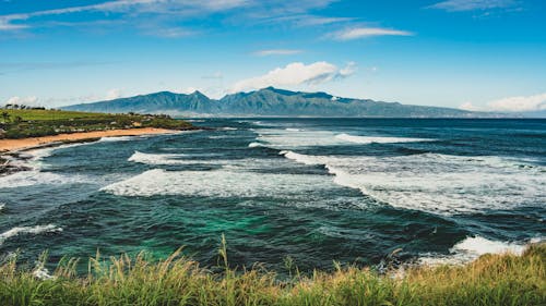 Δωρεάν στοκ φωτογραφιών με Surf, άμμος, αναψυχή