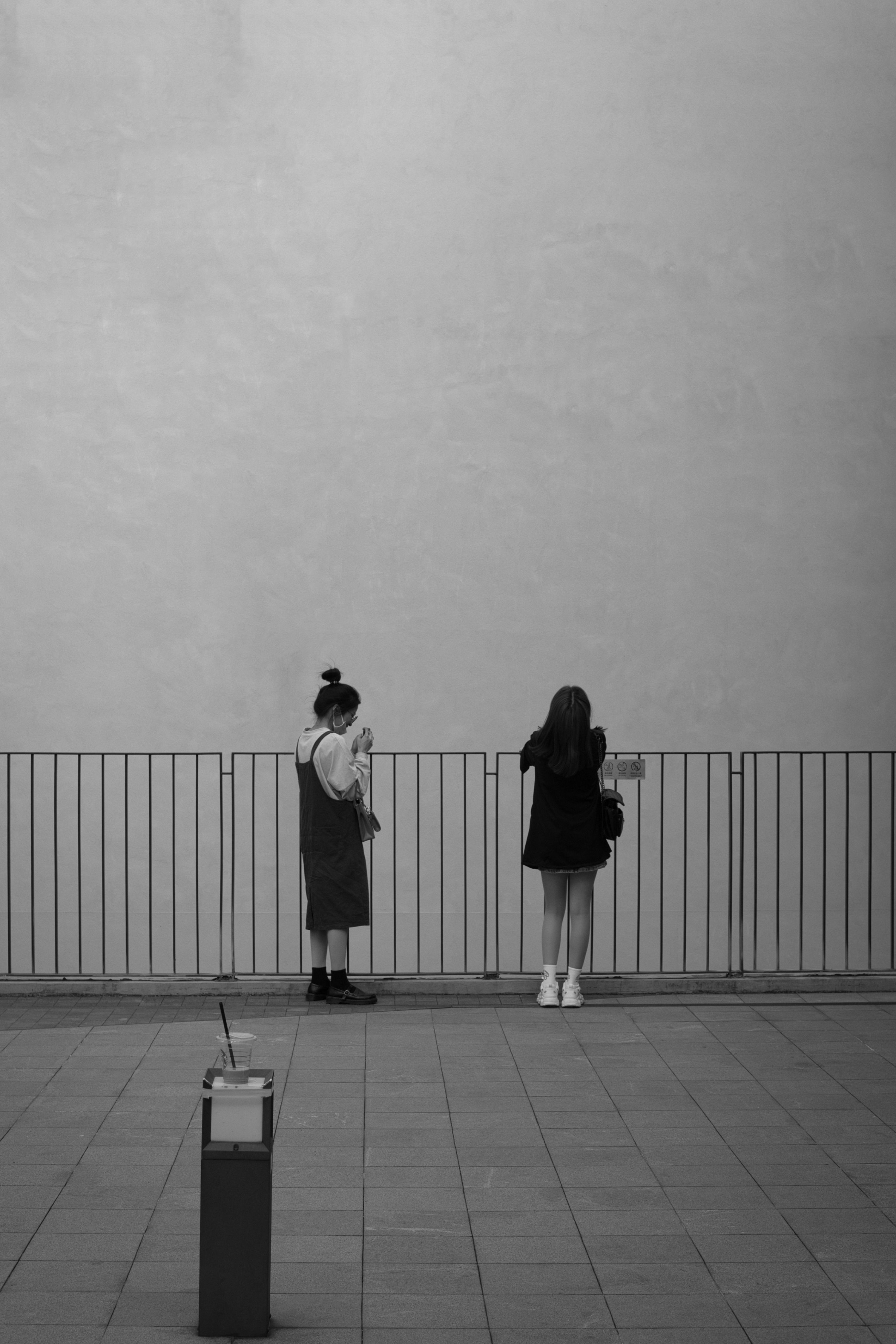 Women Standing Near the Metal Railings · Free Stock Photo