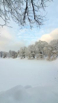 Serene snow-covered landscape with frosted trees under a blue sky. Perfect for winter themes.