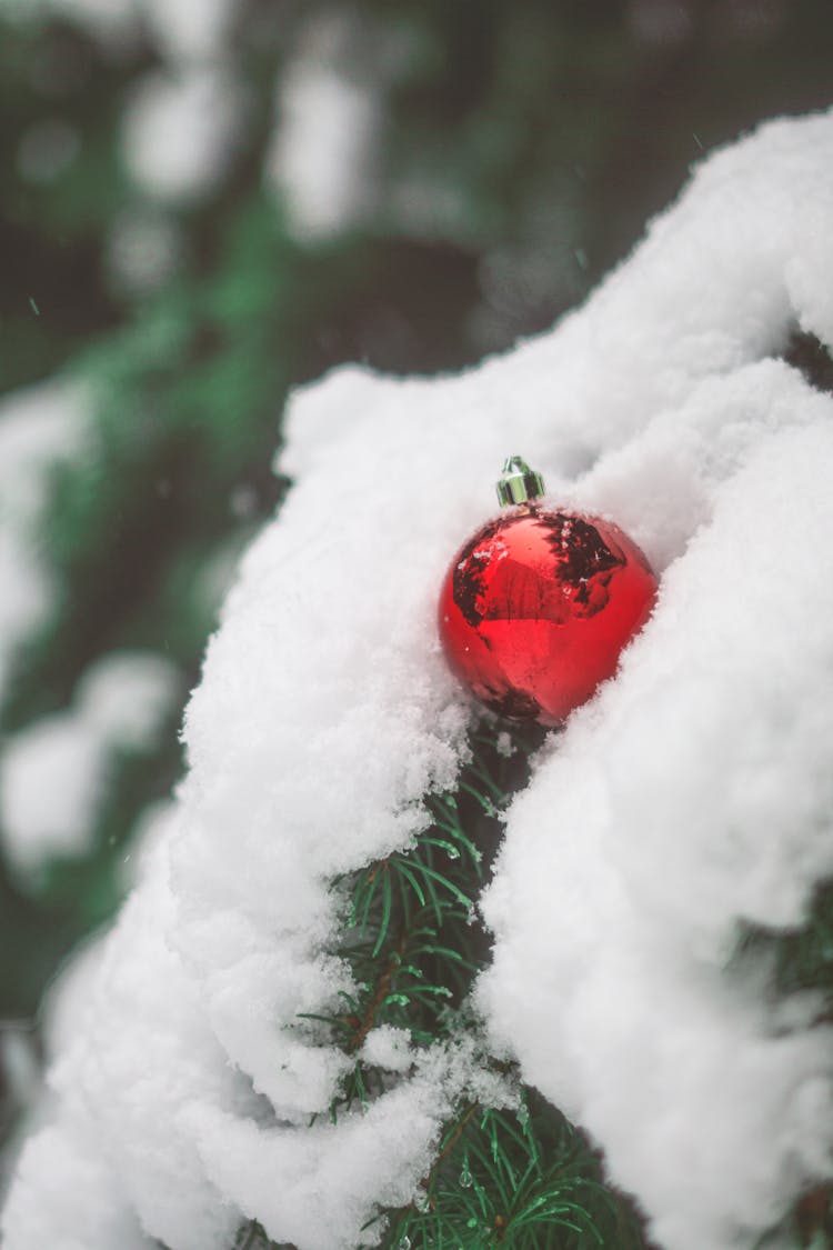 Red Christmas Bubble On A Snow Covered Tree