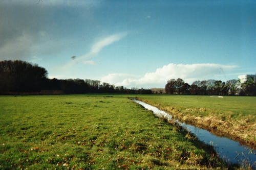 Green Grass Field Under Blue Sky