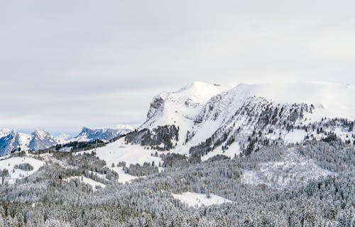 Gratis lagerfoto af alperne, alpin, bjerge