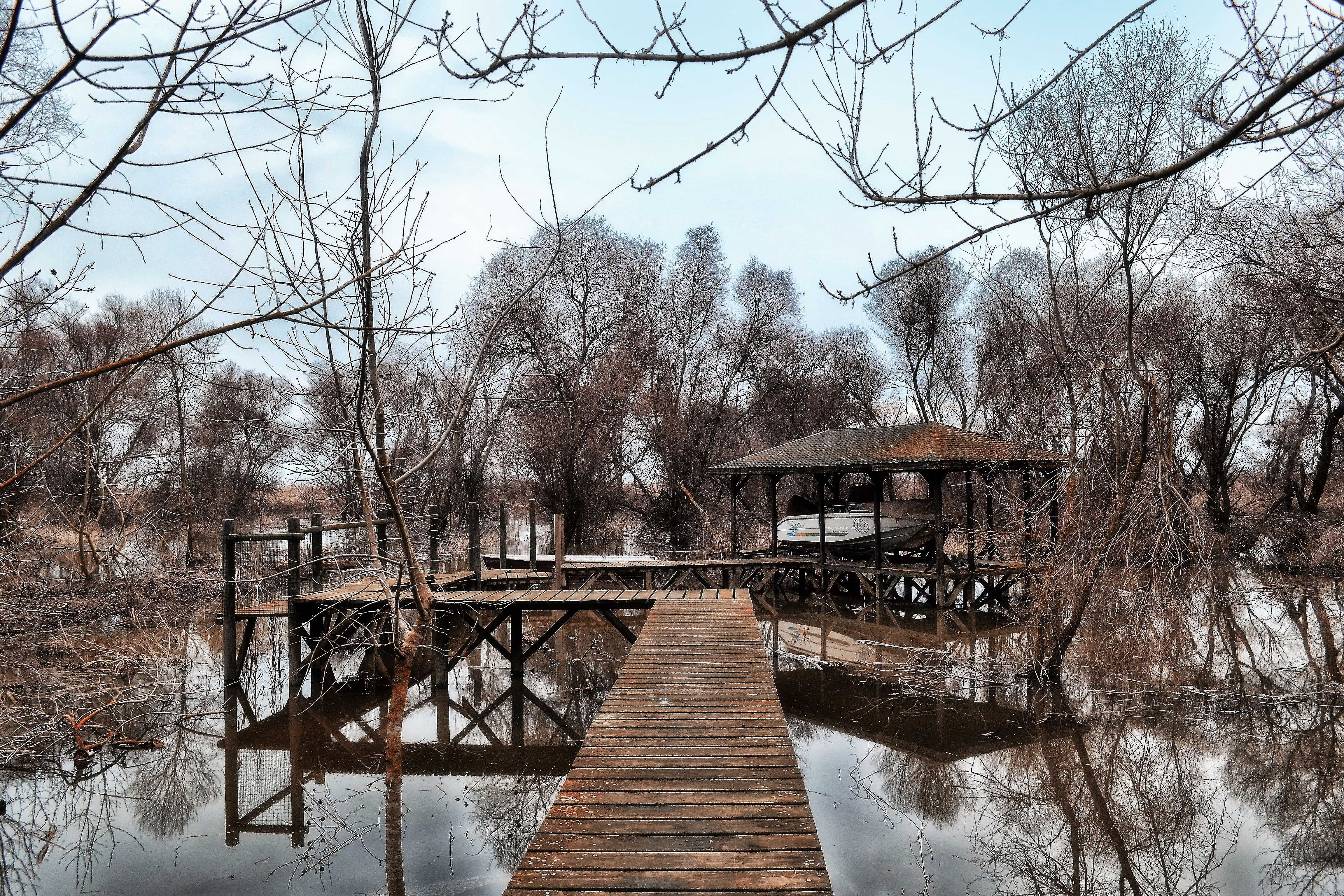 Brown Wooden Dock on the Lake · Free Stock Photo